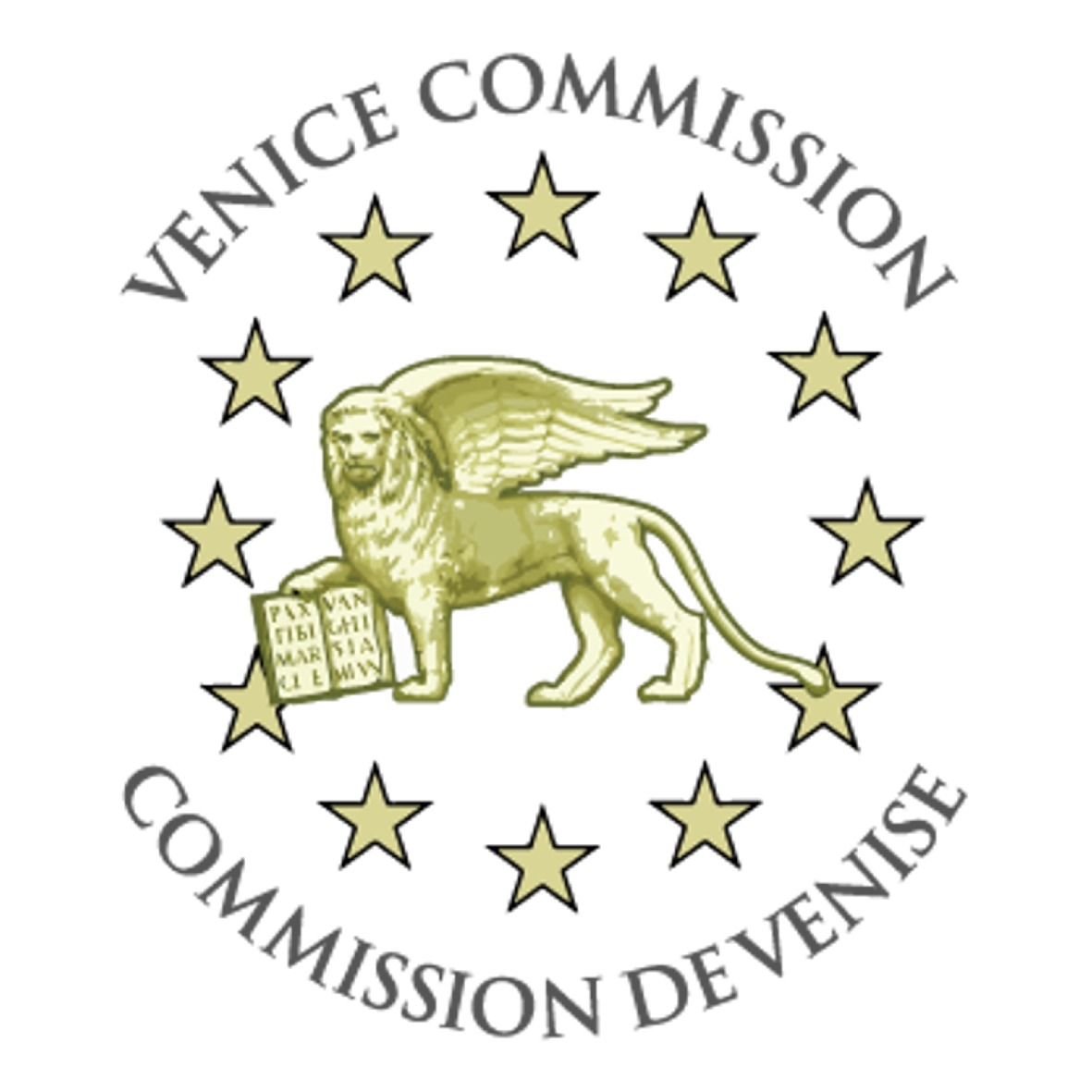 Comisión de Venecia.jpg