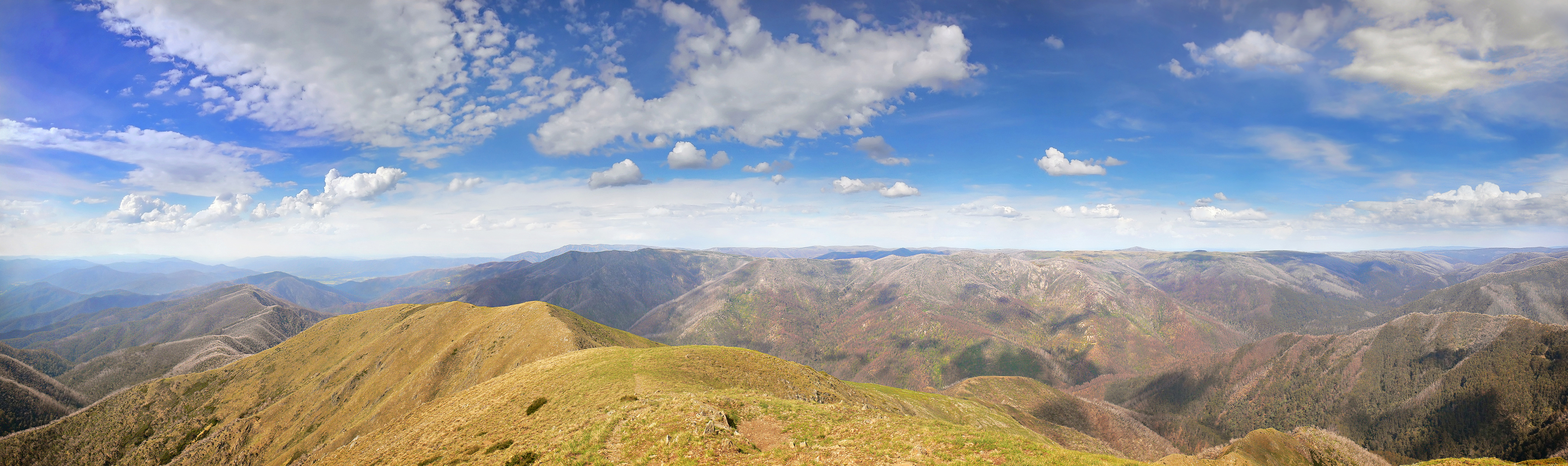 Mt._Feathertop444_edit.jpg